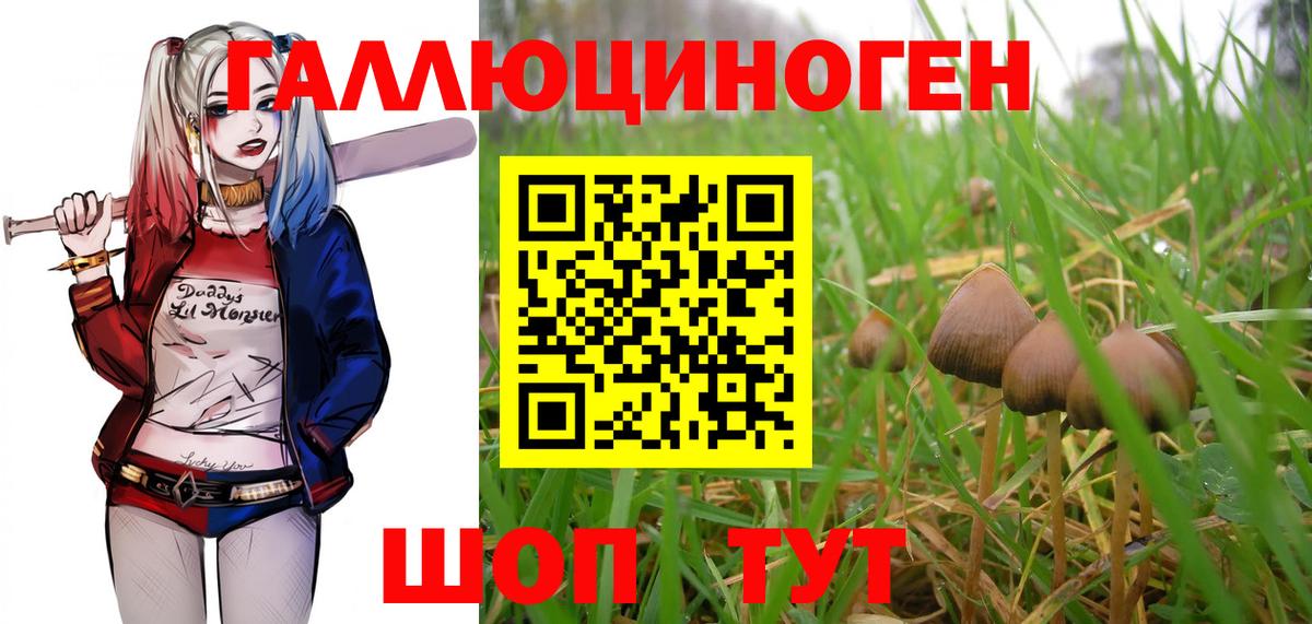 Галлюциногенные грибы мухоморы Нефтекумск