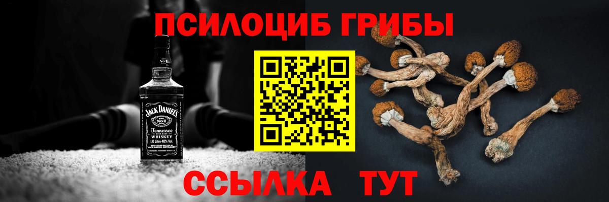 Галлюциногенные грибы Psilocybe  Вход с VPN  Нефтекумск 